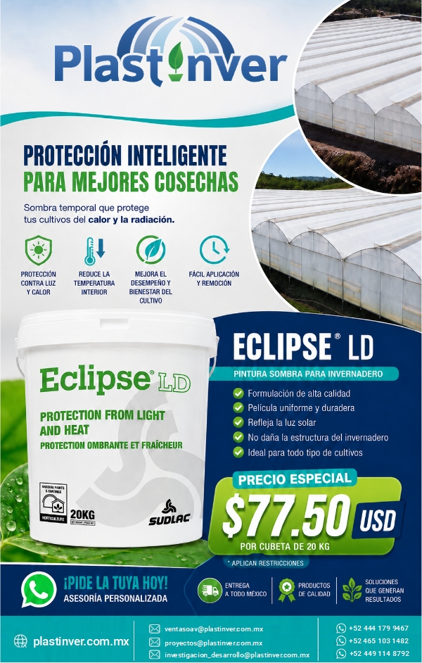 Promoción
